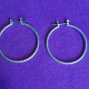 Elegant Silver Hoop Earrings
